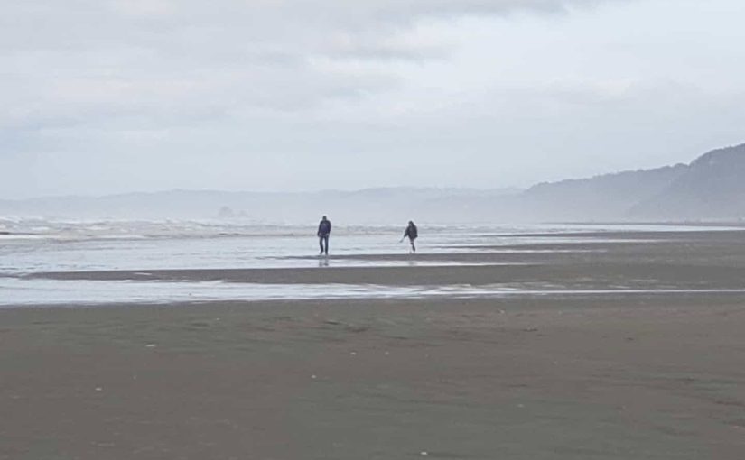 Two small figures stand in the distance on a sandy beach with gray clouds